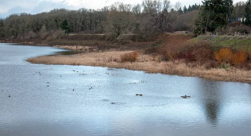 Ridgefield Waterfront - Image 2