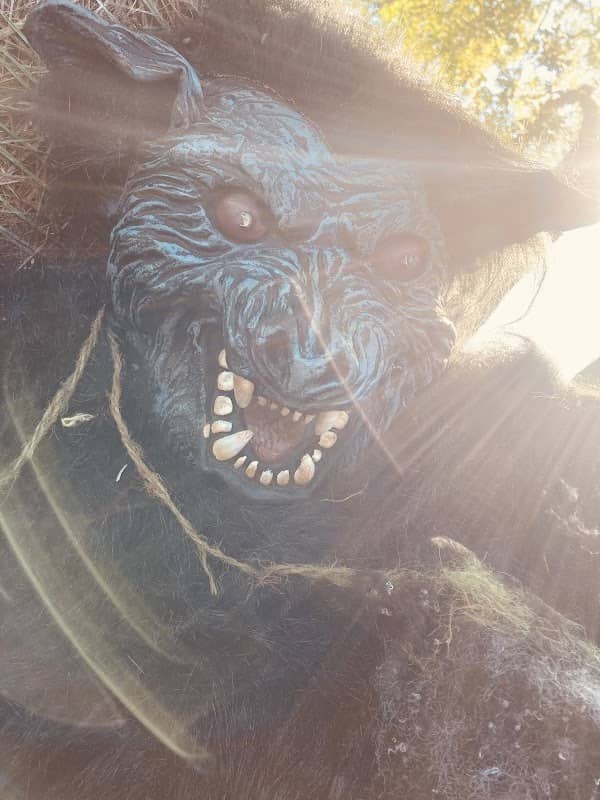 Buckland Haunted Farm - Image 2