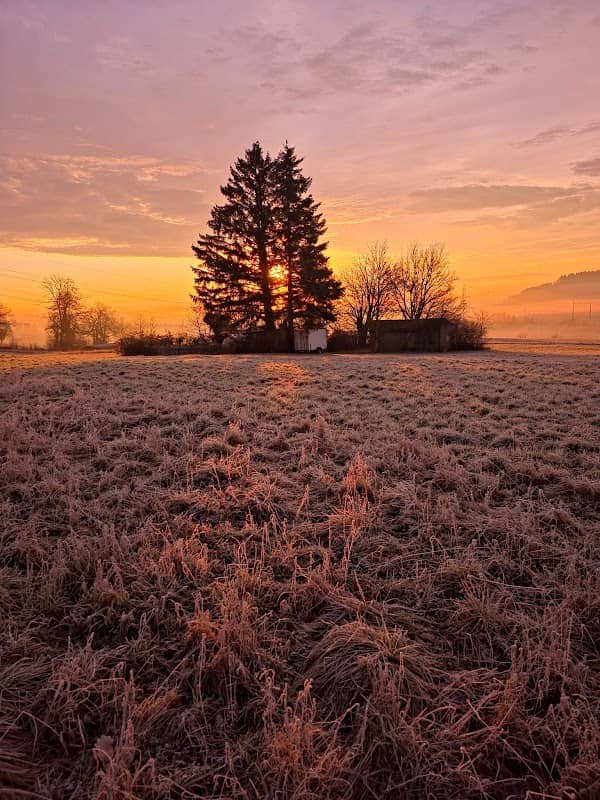 Pieterlen - Image 1