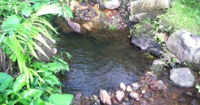 Sumber Jlondang - Image 2