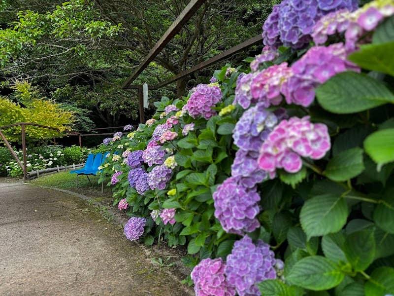 Asagawakahannetaro Park - Image 1