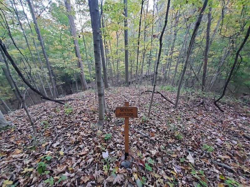 Scenic outlook sign - Image 2