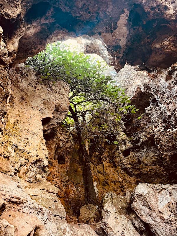 Grotta della vita - Image 1