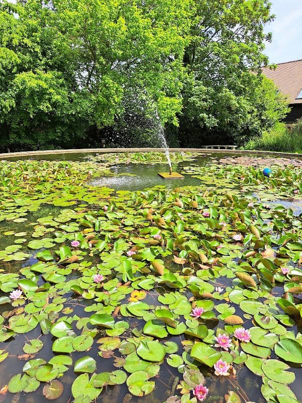 Braintree & Bocking Public Gardens - Image 2