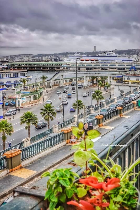 Baie d'Alger - Image 2