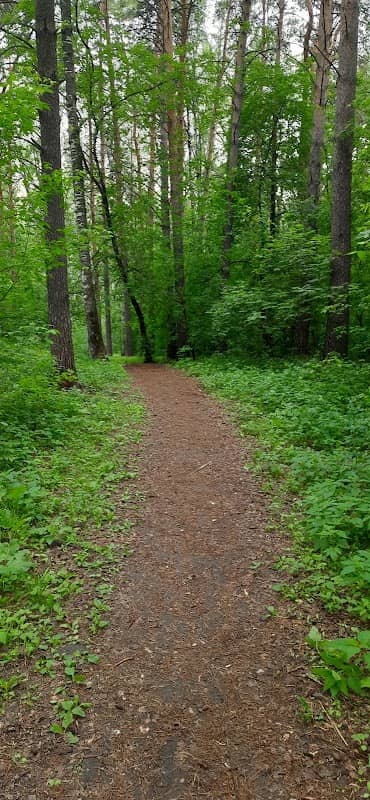 Park Sosnovyy Bor - Image 1