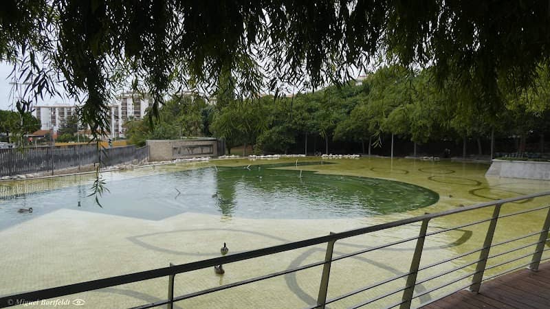 Lago de Camões - Image 3