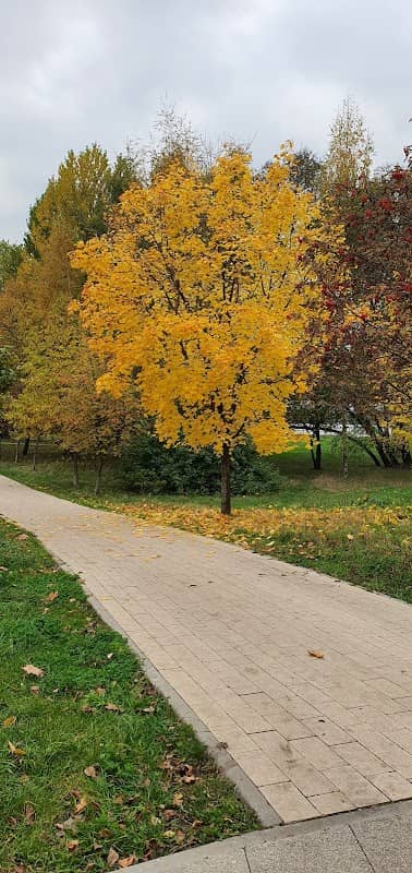 Pamyatnik Chernobyl'tsam - Image 1