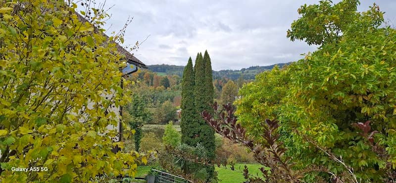 Sulzer Teich - Image 1
