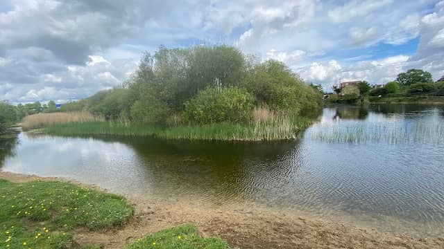 Shortwood Common - Image 2