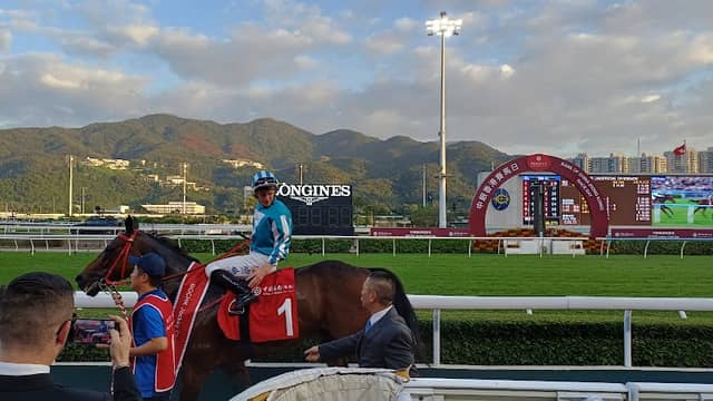 Winners' Enclosure - Image 2