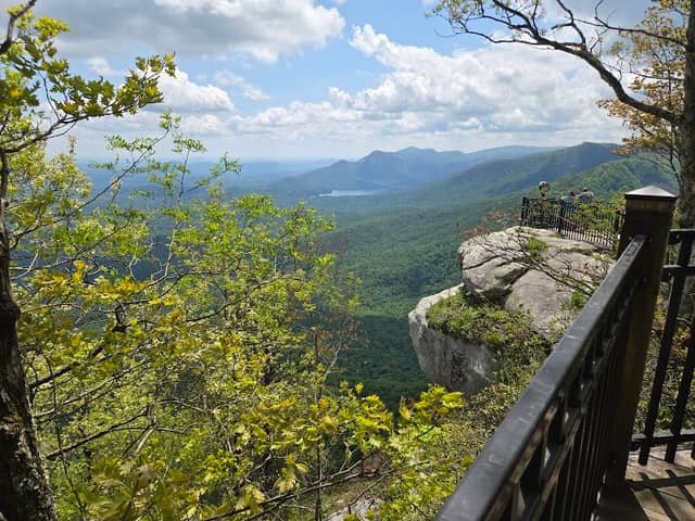 Sassafras Mountain Tower - Image 2