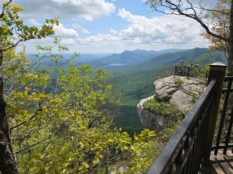 Sassafras Mountain Tower - Image 2