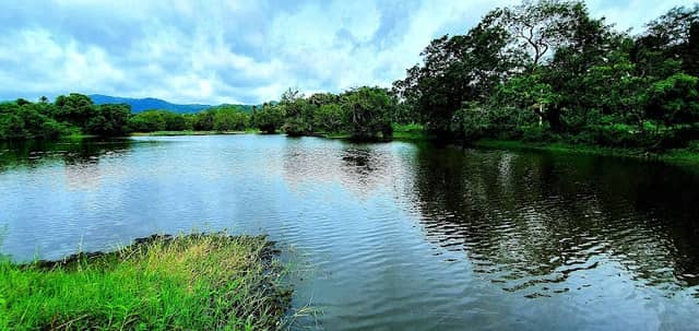 Kalatuwa Pelessa Estate - Image 1