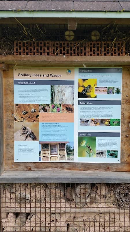 Solitary Bees and Wasps Nesting Enclosure - Image 1