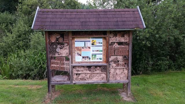 Solitary Bees and Wasps Nesting Enclosure - Image 2