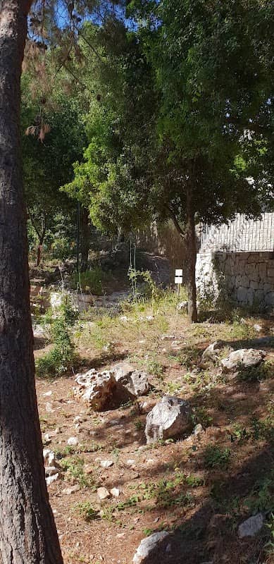 Jardin ecologique - Image 2