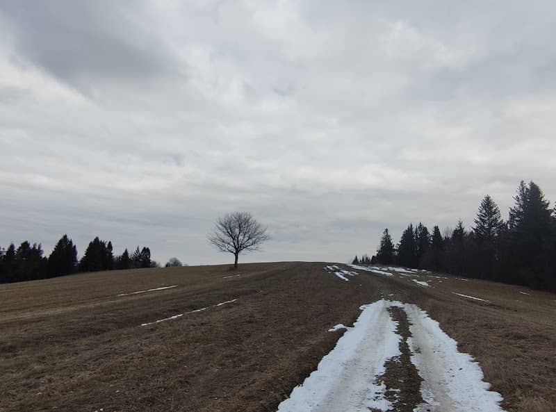 Stankovo - Image 1
