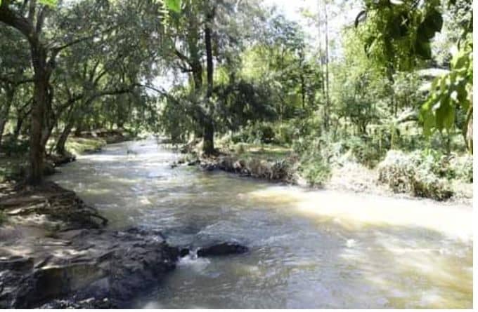 River sosian - Image 1