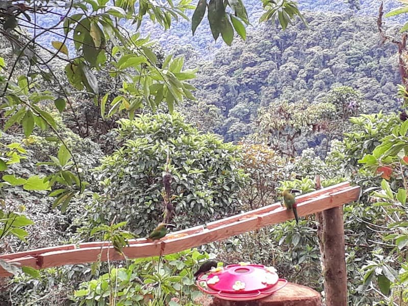 Finca Guaycapi Jorge Luna - Image 2