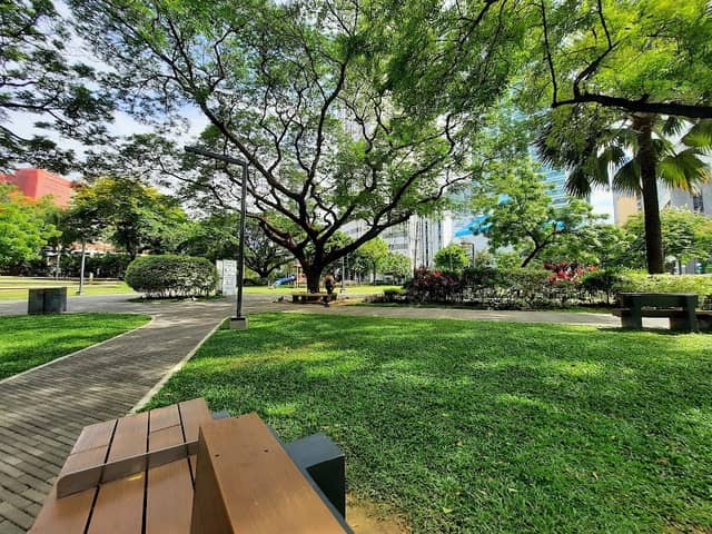Legazpi Active Park - Image 3