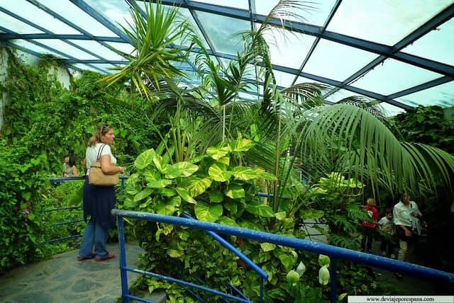 Mariposario del Parque de las Leyendas - Image 2