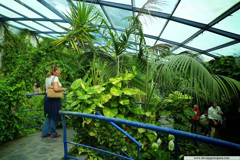 Mariposario del Parque de las Leyendas - Image 2