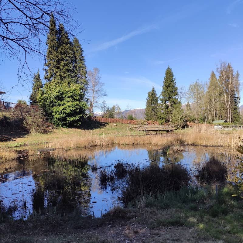 Lago Bolle - Image 3