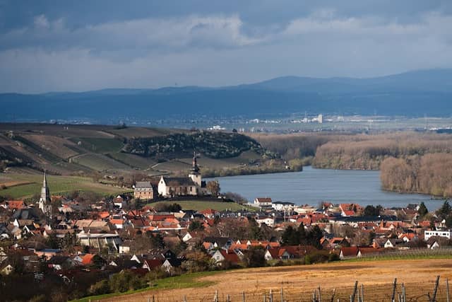 Dexheimer Rastbank - Rheinblick "Am Paterberg" - Image 1