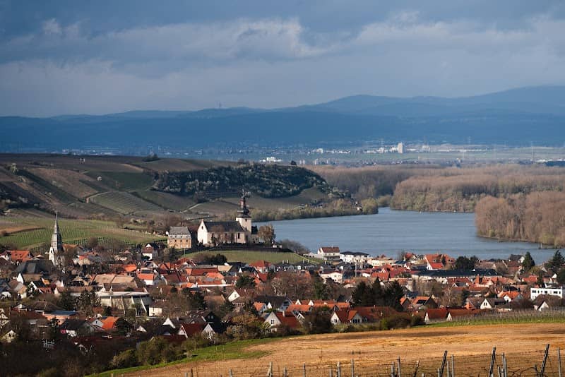 Dexheimer Rastbank - Rheinblick "Am Paterberg" - Image 1