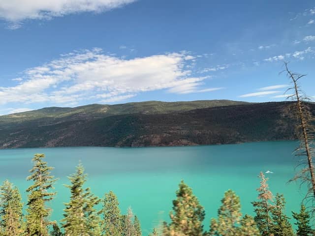 Campbell - Brown (Kalamalka Lake) Ecological Reserve - Image 1