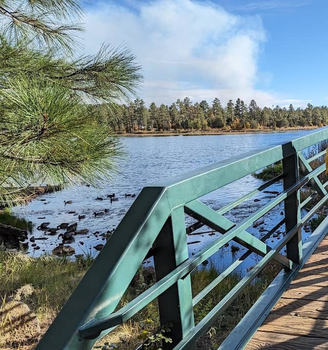 Woodland Lake Park - Image 2