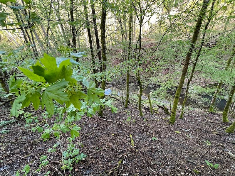 Trittenheimer Wasserfälle - Image 1