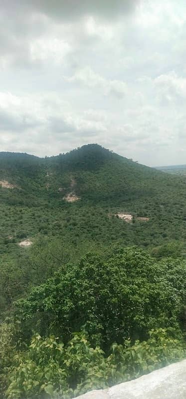 Hill - Image 1