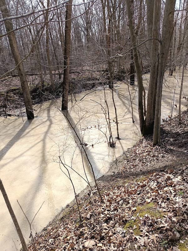 Friends of Pike Creek - Image 1