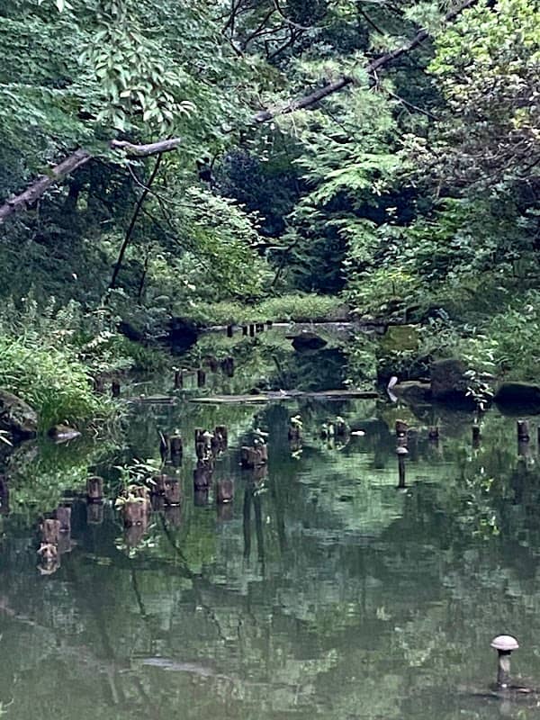 Mujinagaike Park - Image 2
