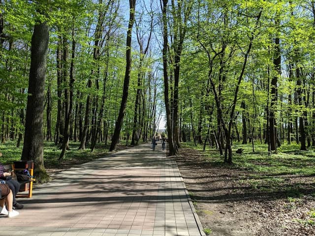 Sykhivsʹkyy Park - Image 2