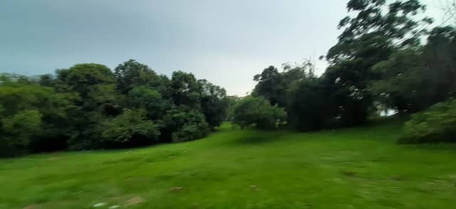 Área Verde - Image 2