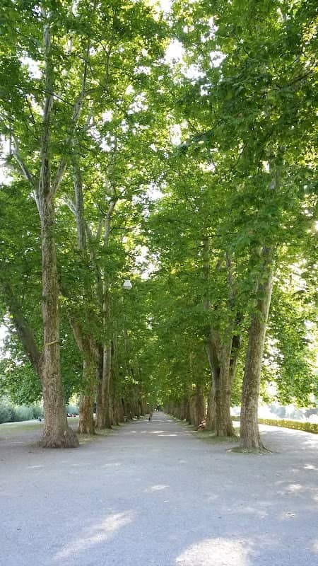 Neckar Rio Grande - Image 2