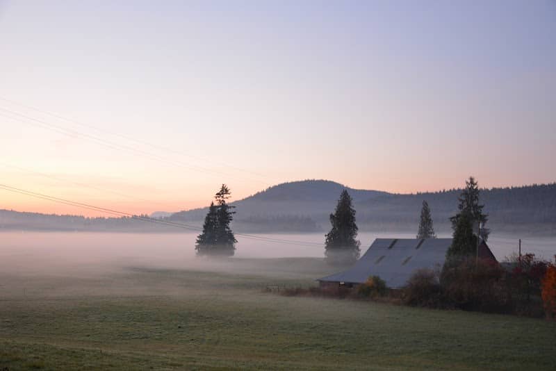 Nanoose - Image 2