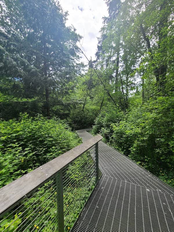 Eagle Scout Interpretive Nature Trail - Image 2