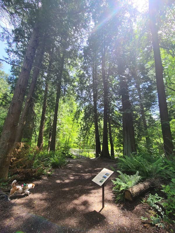 Eagle Scout Interpretive Nature Trail - Image 1