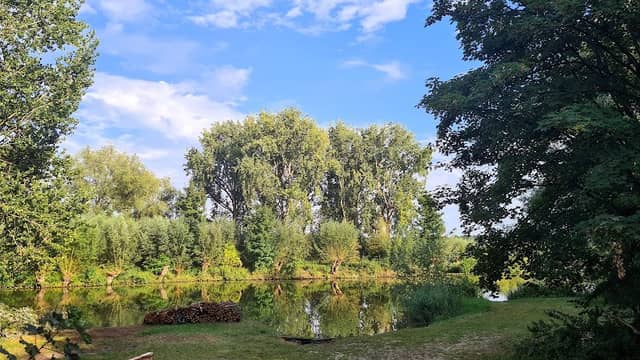 Zwemmen aan de Linge - Image 1