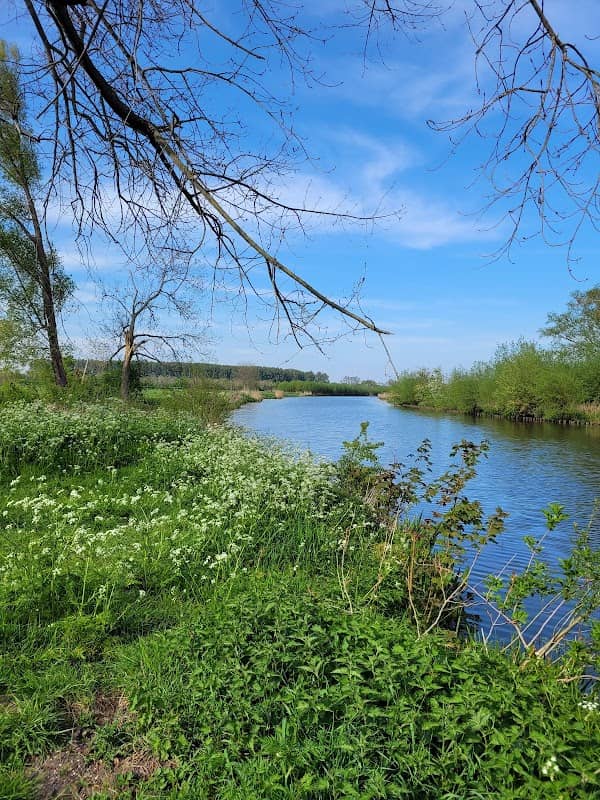 Zwemmen aan de Linge - Image 2