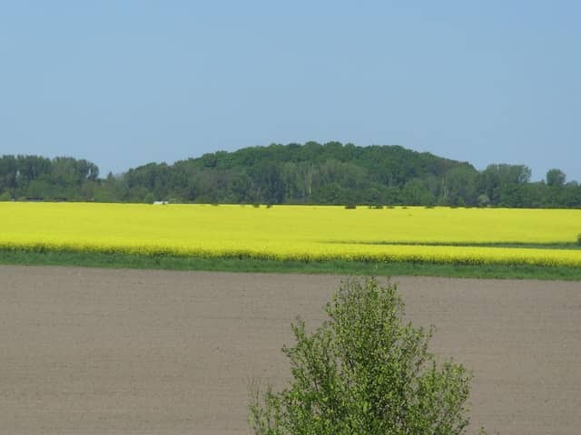 Flora-Fauna-Habitat "Partheaue" - Image 1