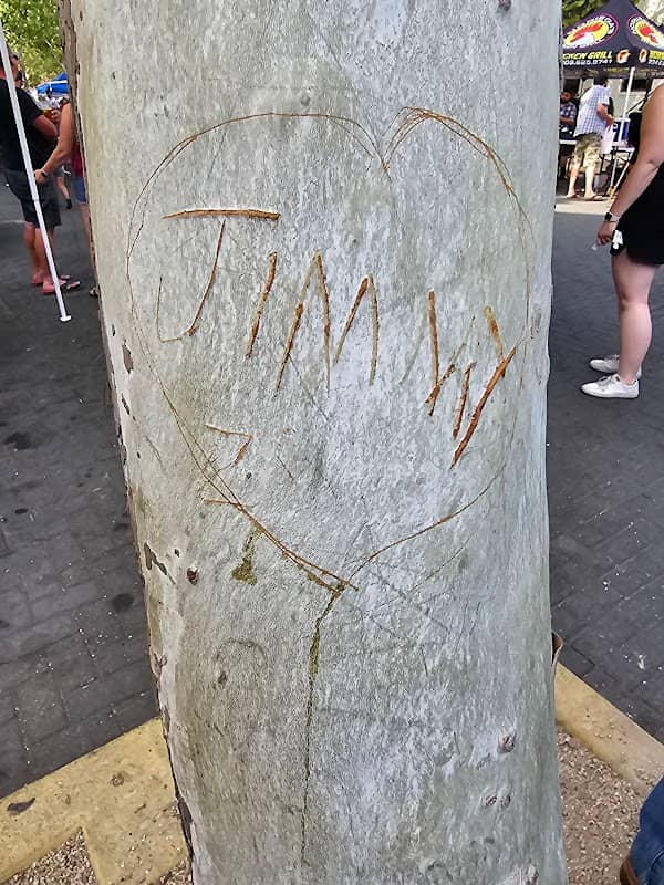 Jimmy's Tree - Image 1