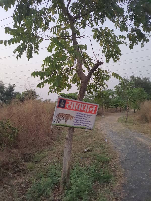 Nagpur Metro Tree Plantation Site Amabazari Forest - Image 2