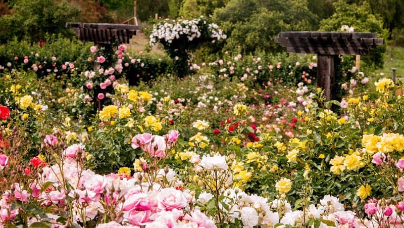 The Gardens at Heather Farm - Image 3