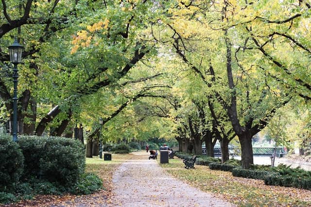 Rosalind Park - Image 3