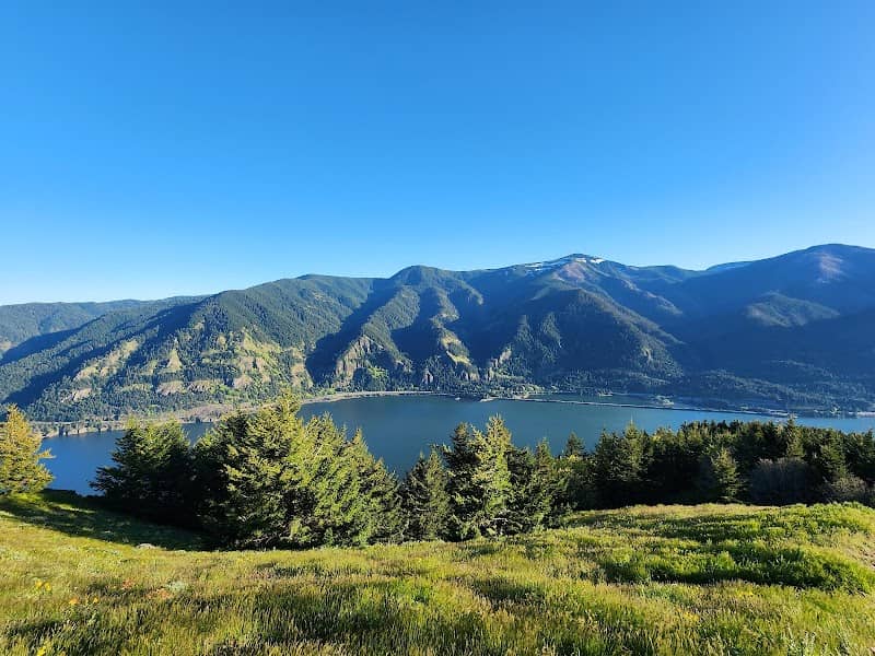 Dog mountain - Image 2